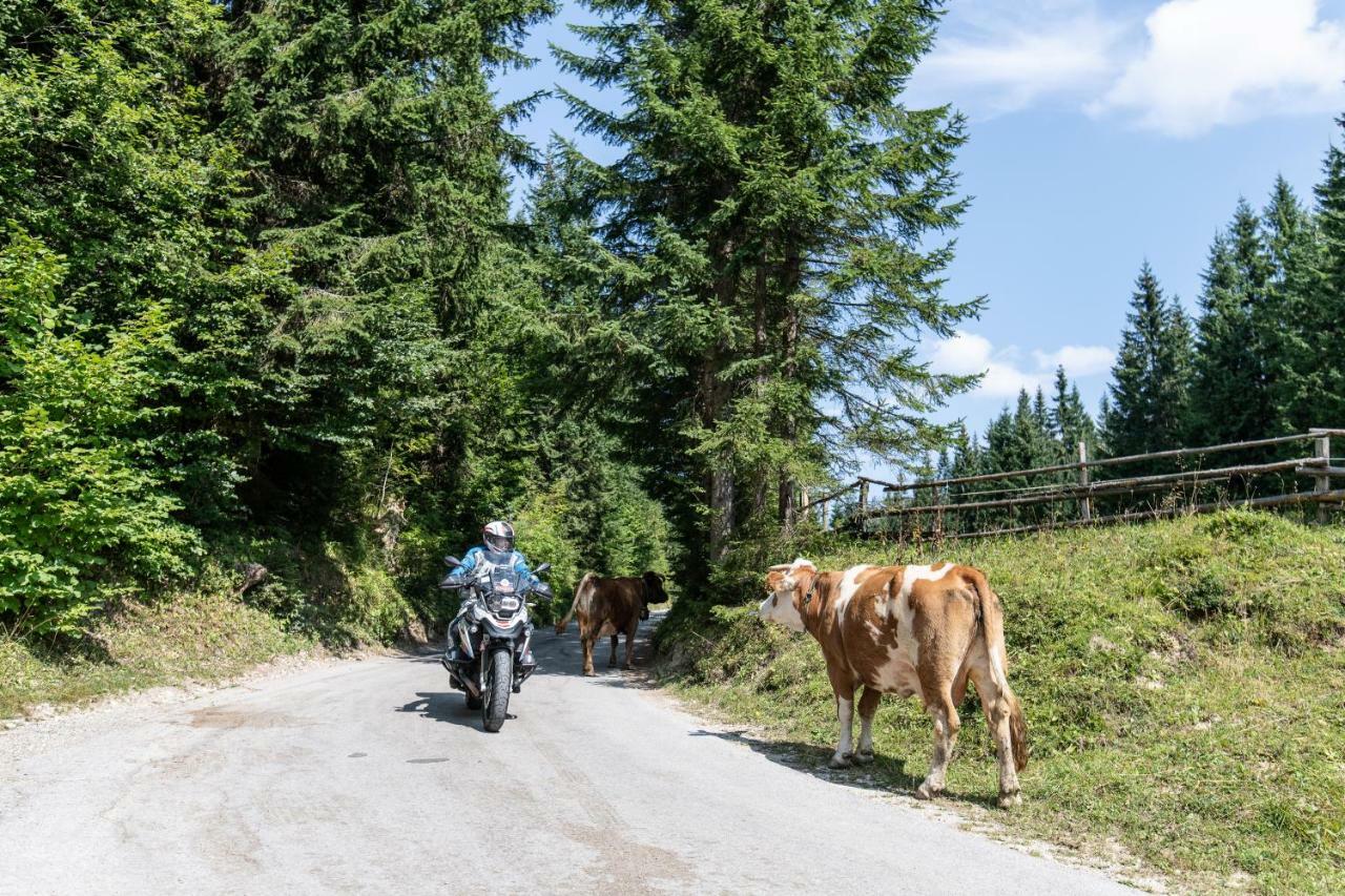 Ferienwohnungen Panorama Harrys Bike Tours フィラハ エクステリア 写真